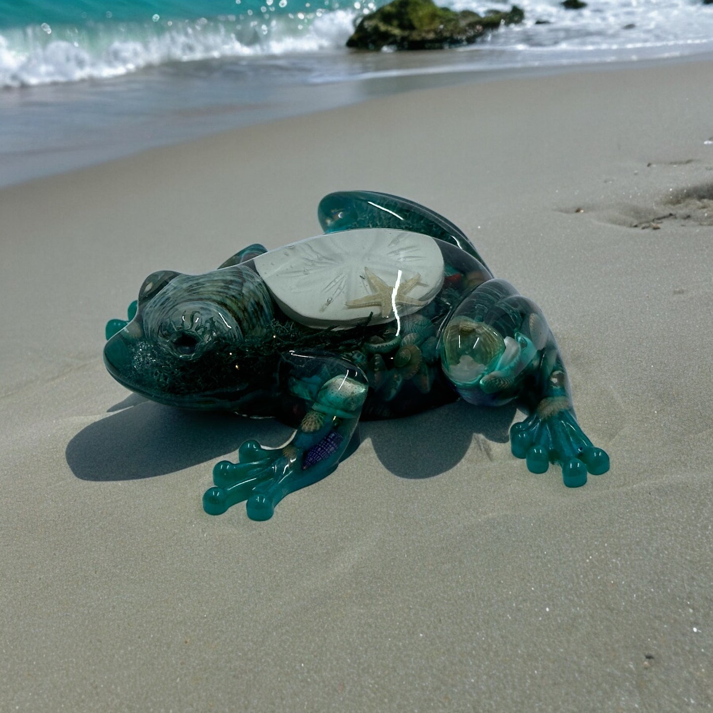 Sand dollar frog