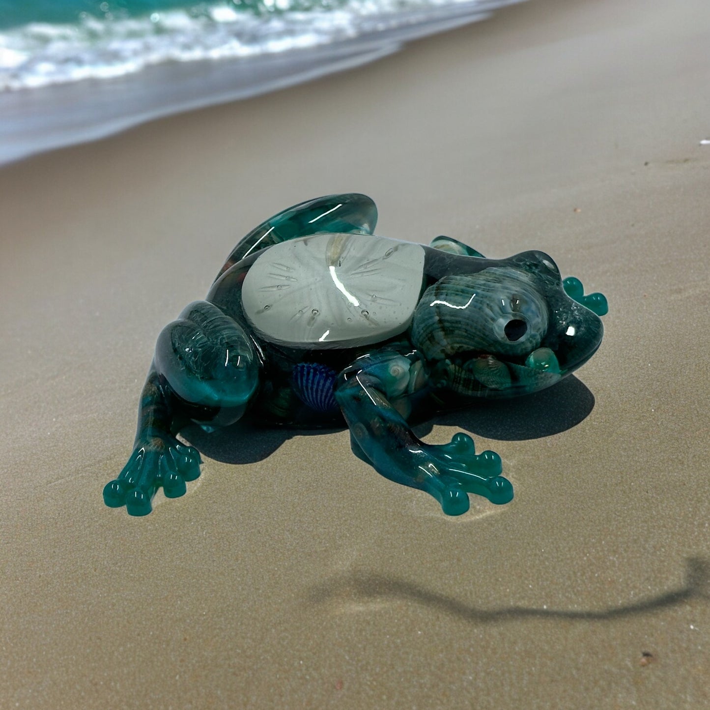 Sand dollar frog