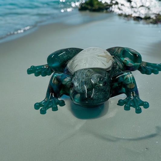 Sand dollar frog